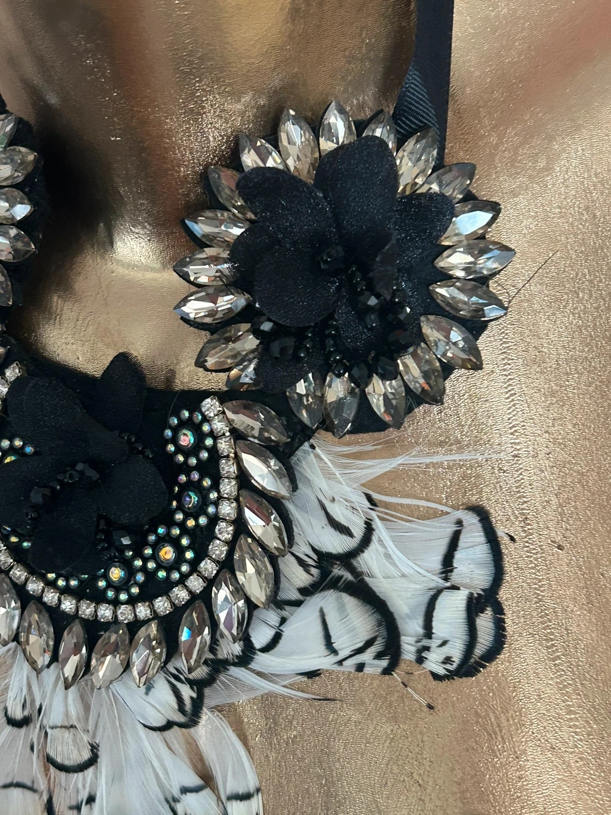 Viejo collar de plastrón y plumas – photo 2
